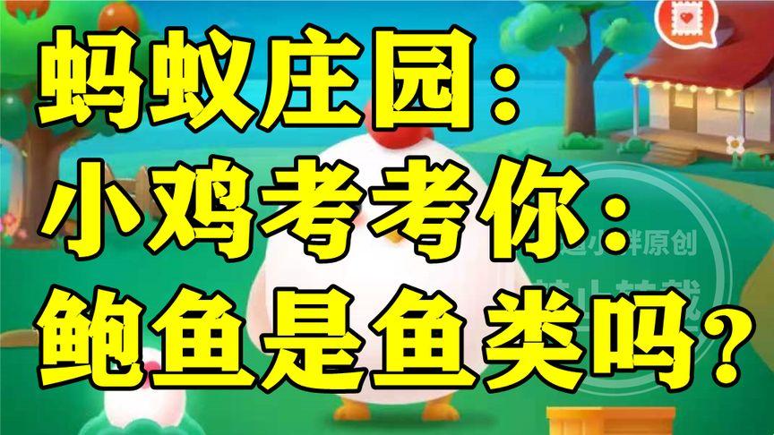 “鲍鱼不是鱼?小鸡提问引爆科技圈,创新答案让你大跌眼镜!”