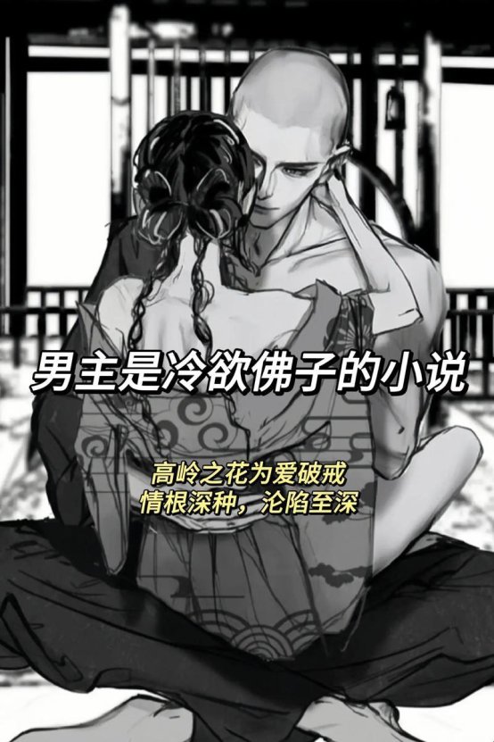 2025年佛子入凡尘为公主破戒风昭合规难题深度解析与实战验证方案