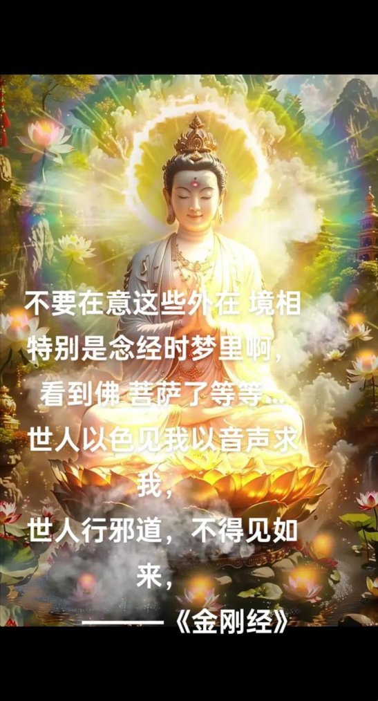 2025年佛子入凡尘为公主破戒风昭合规难题深度解析与实战验证方案