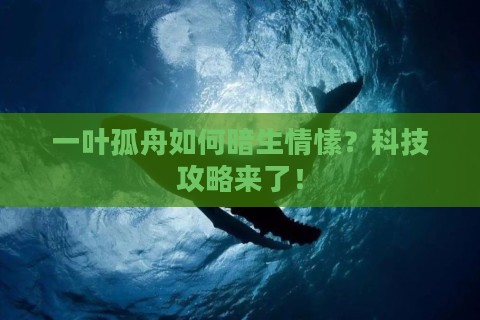 一叶孤舟如何暗生情愫?科技攻略来了! 一叶孤舟如何暗生情愫?科技攻略来了!