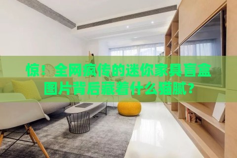 惊！全网疯传的迷你家具盲盒图片背后藏着什么猫腻？