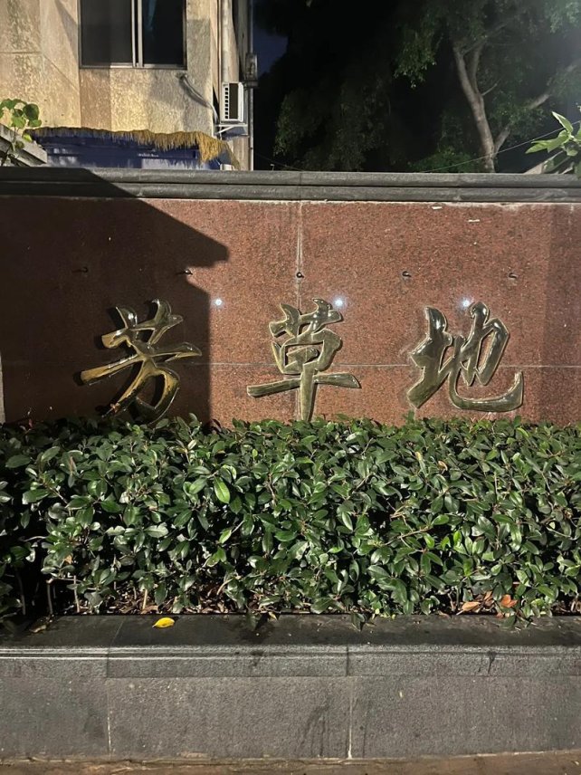 2025年生态监测盲区突围战：小手往下游的芳草地实战验证