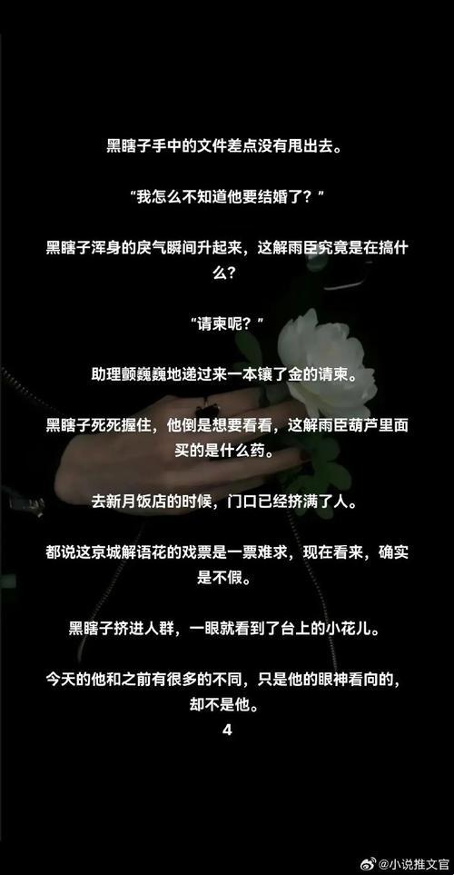 黑花张腿or张嘴？深度解析哪个才是你的终极选择