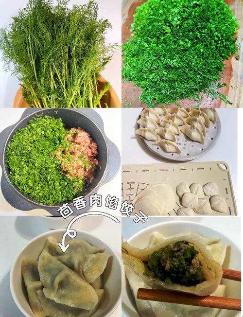 如何稳住肉馅小水饺：江教授的终极攻略