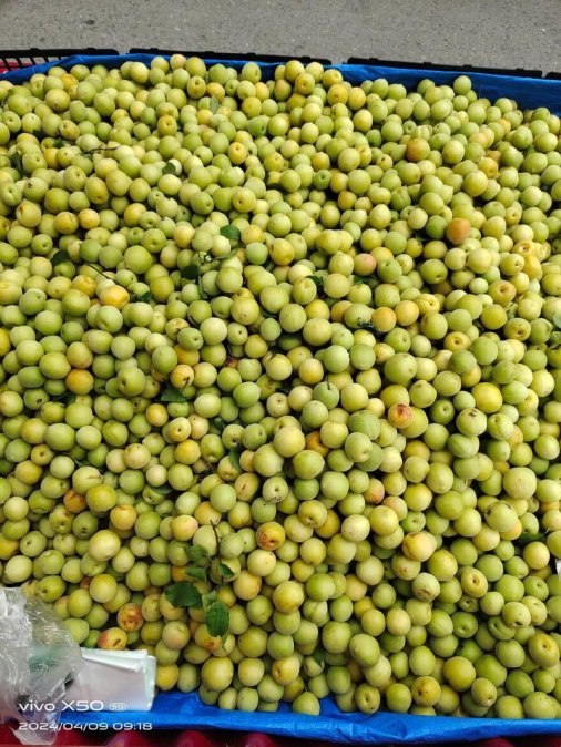 酸梅讲了啥？别让键盘侠毁掉你的认知！