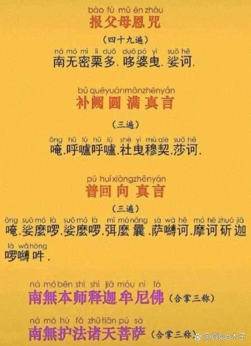 2025年清真言读诵数字化转型的深度解析