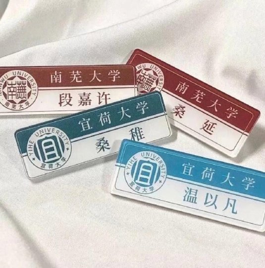 竹已学历谜团引发数据追踪狂潮 高校验证系统遭遇流量洪峰