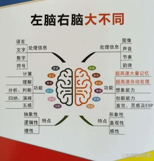 2025年智能语义决策困境深度解析：实战验证的双频校验方案
