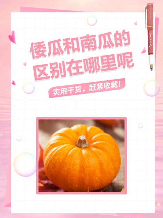 2025年智能语义决策困境深度解析：实战验证的双频校验方案