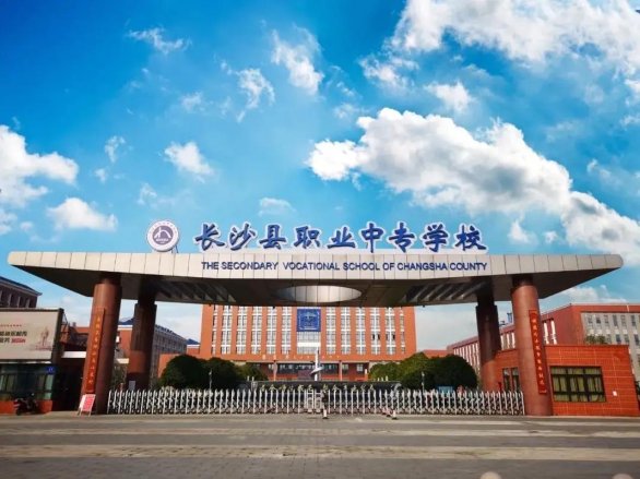 技校职校中专真香？网友直呼“职校迷宫”里的爱与荒诞