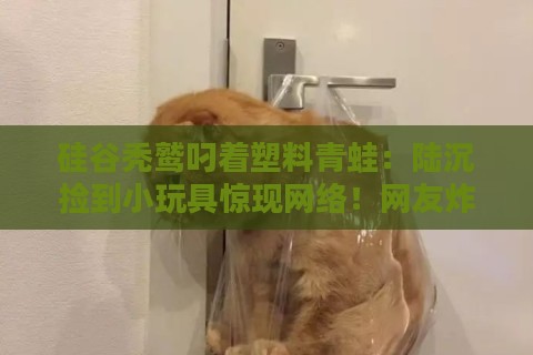 硅谷秃鹫叼着塑料青蛙：陆沉捡到小玩具惊现网络！网友炸锅：这玩意儿能改变世界？