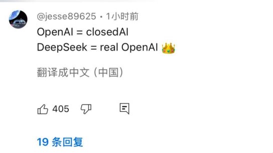 歪果仁评deepseek竟把科技圈炸出咸鱼味？