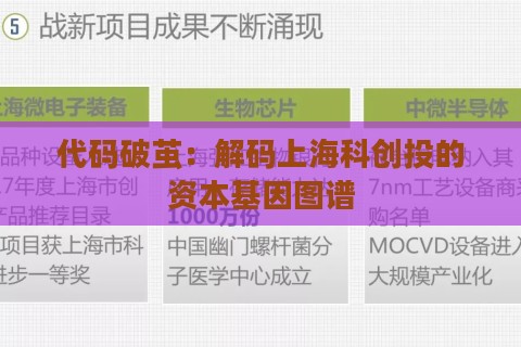 代码破茧：解码上海科创投的资本基因图谱