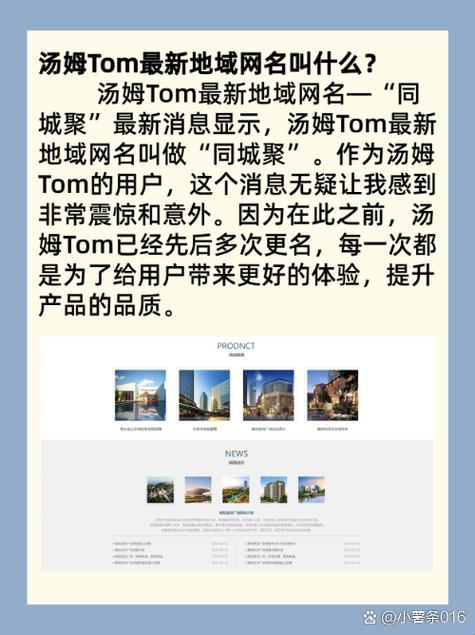 捅猫！这玩意儿凭啥敢叫永久地域网名？