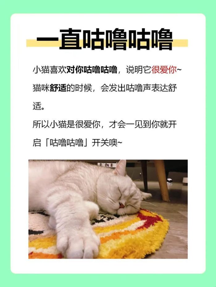 2025新说法！猫咪爱自动铲屎机竟被成都铲屎官怒怼“真香”？（附隐藏彩蛋）