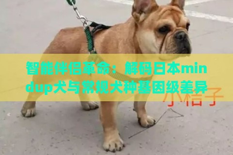 智能伴侣革命：解码日本mindup犬与常规犬种基因级差异