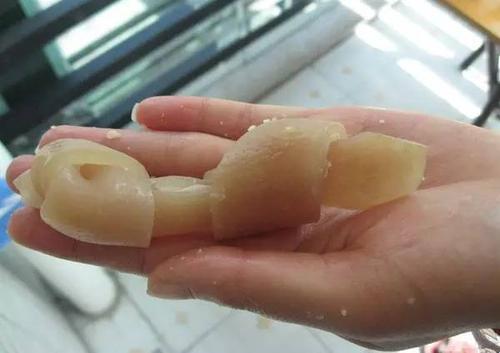 狗狗胶配方视频高清大全过程！养狗人血泪史炸出惊天坑