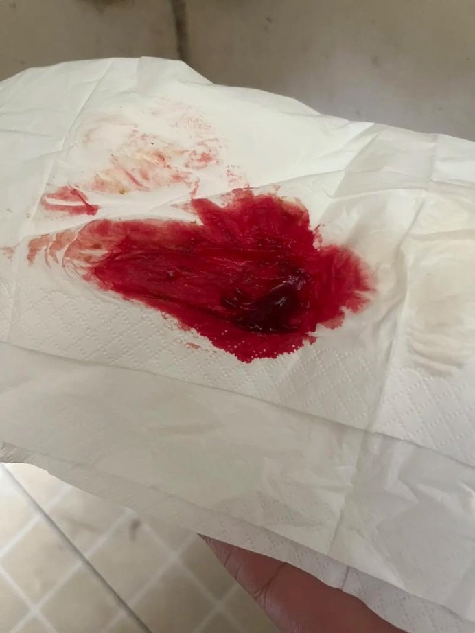 真实破血引擎如何重构长三角科创流量池