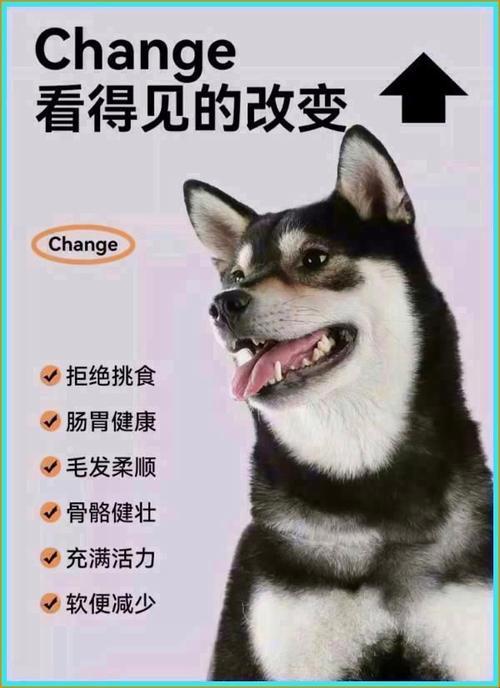 你家狗子突然开口要胶水?这份配方手册藏着什么黑科技!