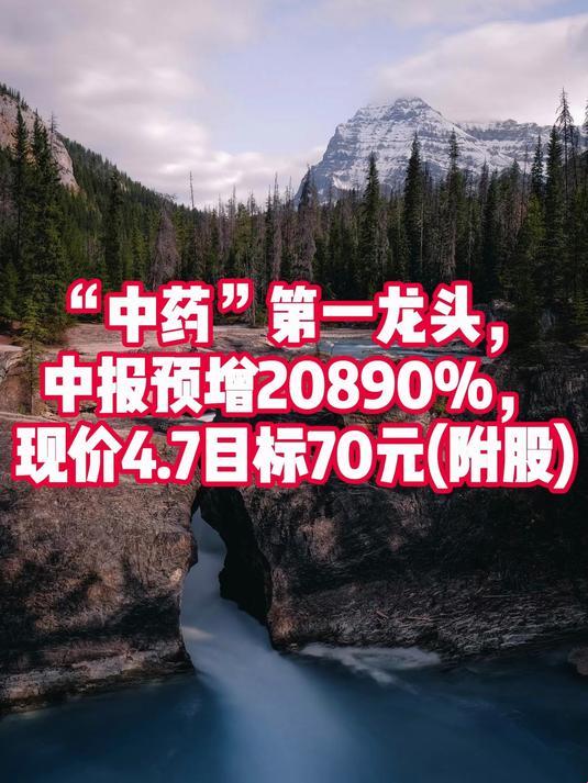 4.5元的中药龙头，科技如何解救中医药？