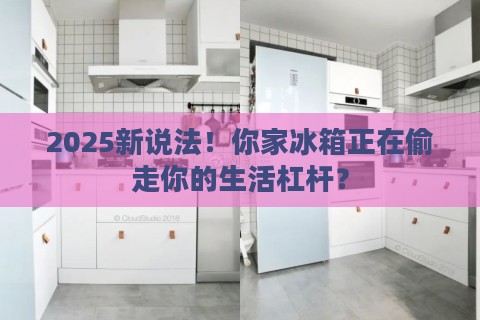 2025新说法！你家冰箱正在偷走你的生活杠杆？