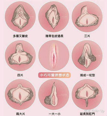 机器人的外阴形状:设计与伦理的碰撞