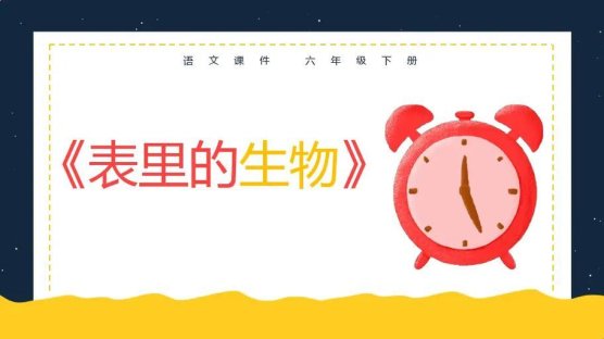 2025年教育课件认知偏差深度解析与实战验证方案