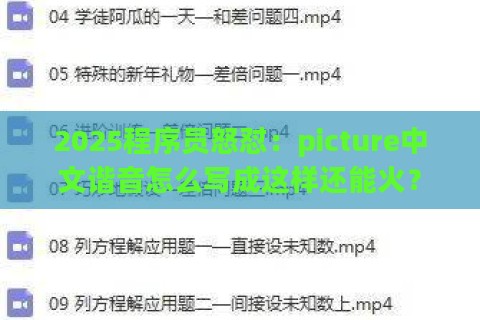 2025程序员怒怼：picture中文谐音怎么写成这样还能火？