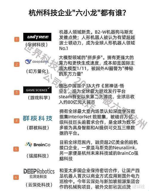 杭州因为deepseek闹哪样？程序员半夜崩溃实录