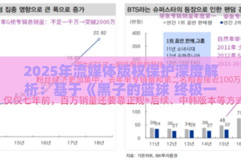 2025年流媒体版权保护深度解析：基于《黑子的篮球 终极一战日语版》的实战验证方案