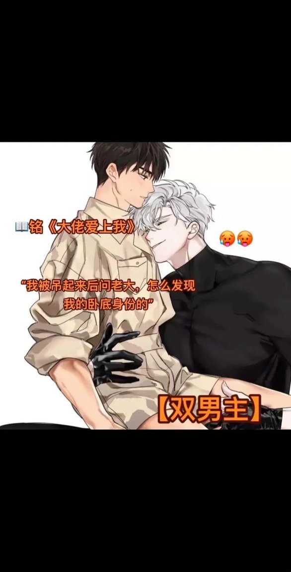 智能驯服计划：量子阅读如何重塑高张力双男主叙事生态