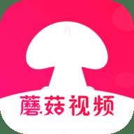 2025版蘑菇短视频新功能曝光!网友直呼“这玩意儿真能解决我熬夜剪片的痛苦?”