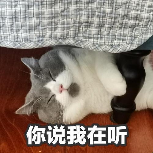 对话机器人突然“开窍”？揭秘“你说我听着最佳回复”背后的隐藏逻辑！