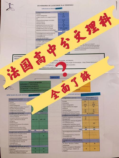 法国理科2025新指南:那些被吹爆的“创新突破”真能扛住现实毒打吗?