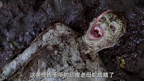 印度蛇片考古学：当数据挖掘撞上蛇女神