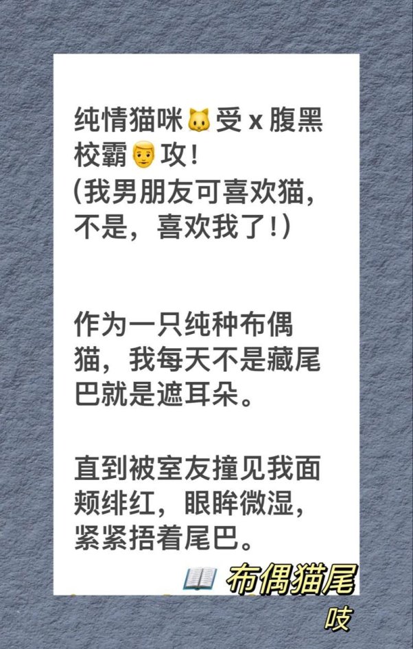 猫系科技如何用尾巴插件撬动z世代内容生态