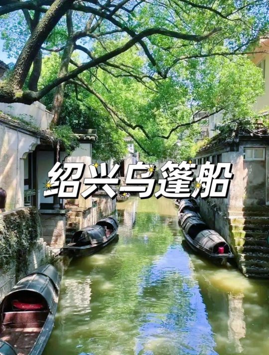 郁绍庭小船摇曳引爆2025智能决策引擎重构数字生态新风尚