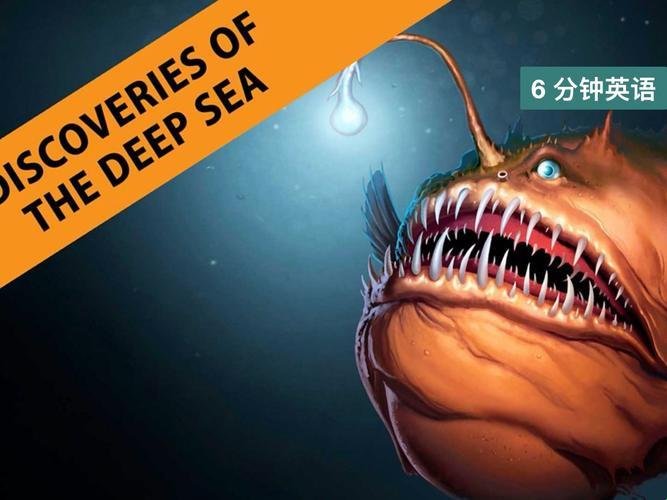 2025最新揭秘!deepsea怎么读中文竟成程序员暗号?网友直呼别踩坑