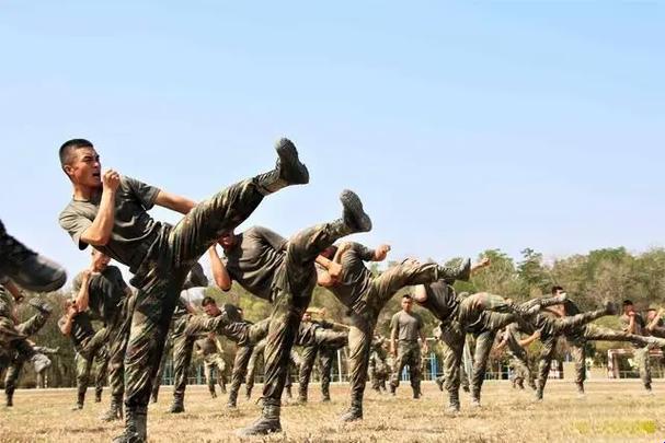 部队轮流生活暗藏哪些生存法则？这份硬核攻略帮你少走三年弯路！