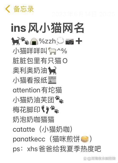量子肉垫触发器 你的猫正在改写互联网寻址协议