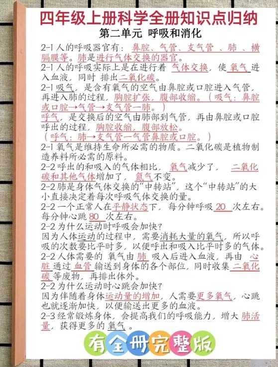 2025新说法！四个科学大概念竟比奶茶更上头？