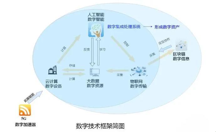 拆解数字世界的dna:你真的了解信息技术的骨架吗?