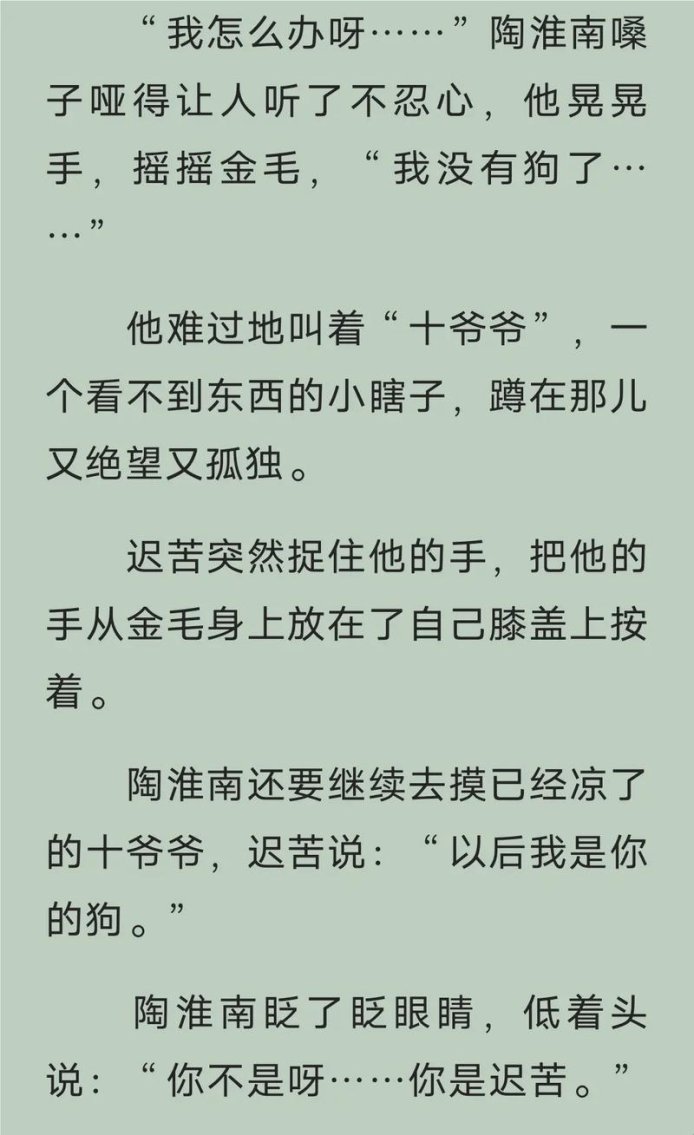 陈年烈苟百度百科:一场关于成长与守护的“烈狗”之旅
