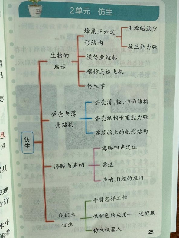 五年级科学小论文框架为何让海淀家长直怼科研素鸡？2025避坑全解析