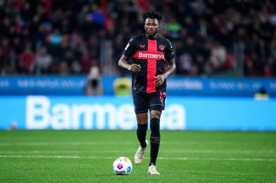 3月新发现！zoomsendog竟成决策指南 听听深圳团队怎么说