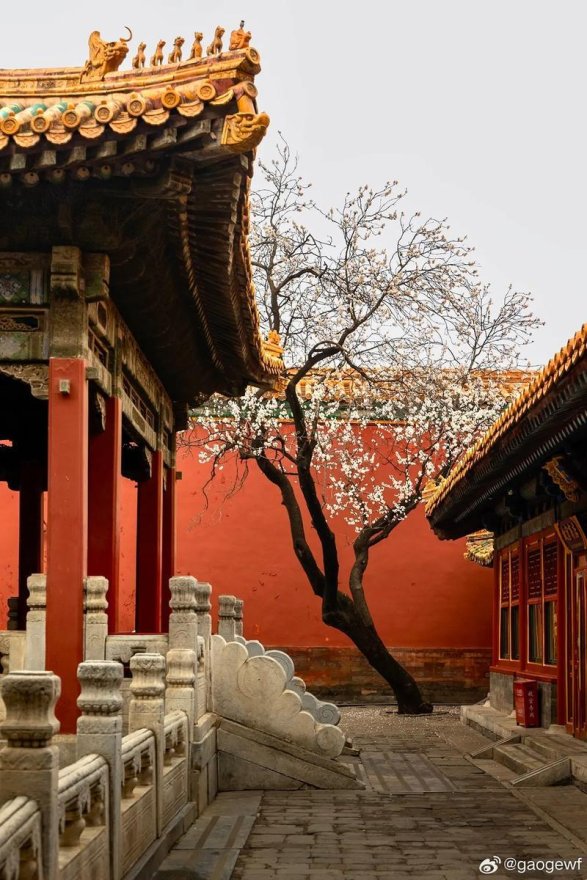 2025年御花园智能监测系统实战验证:破解古建保护与游客体验失衡难题