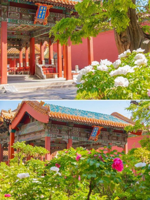 2025年御花园智能监测系统实战验证:破解古建保护与游客体验失衡难题