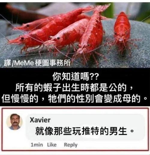 男朋友说他支小帐篷了，背后隐藏的真相你了解吗？
