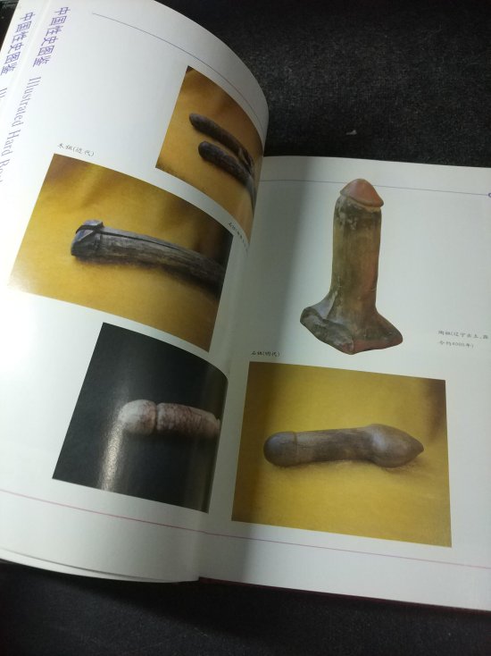 历史真的在循环?揭秘数据推演背后的生存法则!