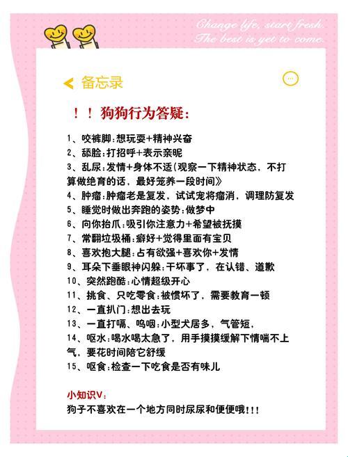 2025版:给主人当狗的基本规矩,网友直呼太真实!